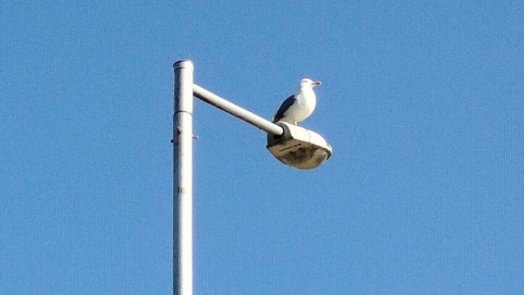 Слънчево време в последния делник на седмицата