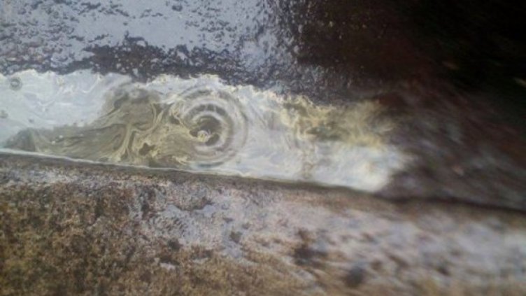 Снимка фейсбук