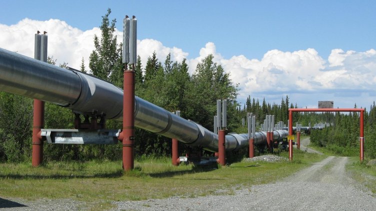 Снимка: Pixabay/douchewand