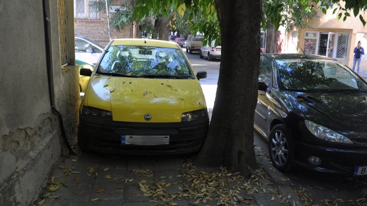 Снимка Пламен Гутинов