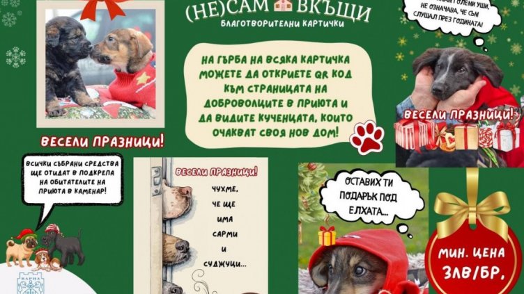 4 кучета още бяха осиновени от приюта в Каменар