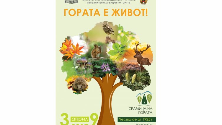 Деца стават лесовъди за ден