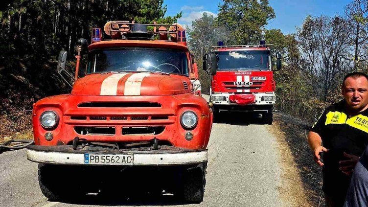 Снимка: Община Асеновград