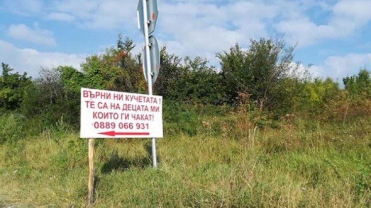 Отчаян призив: Баща търси откраднатите кучета на децата му