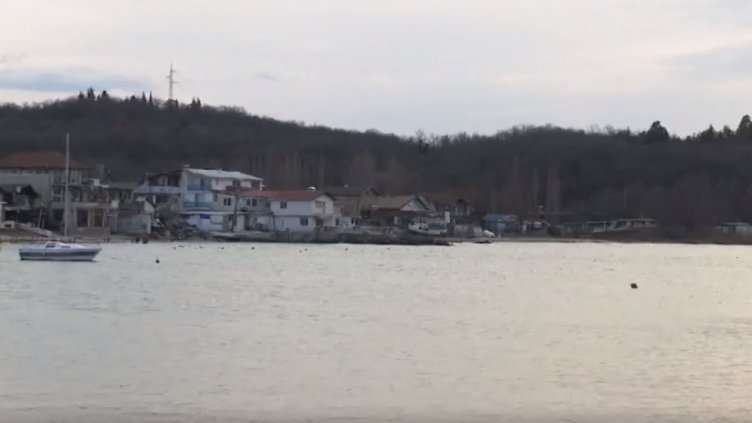 Не рибари, а герои! Спасиха заседнал в плитчините делфин, пуснаха го на воля