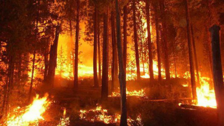 Само за 2 седмици армията е разходвала над 300 000 лв. за борба с пожарите