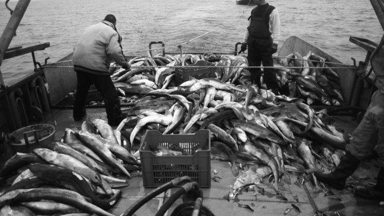 Търсим взаимопомощ в Черноморския регион