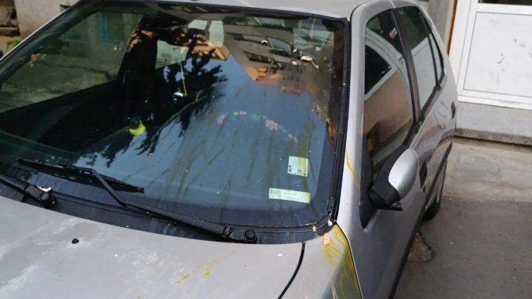 Снимки: Фейсбук/Ани Иванова