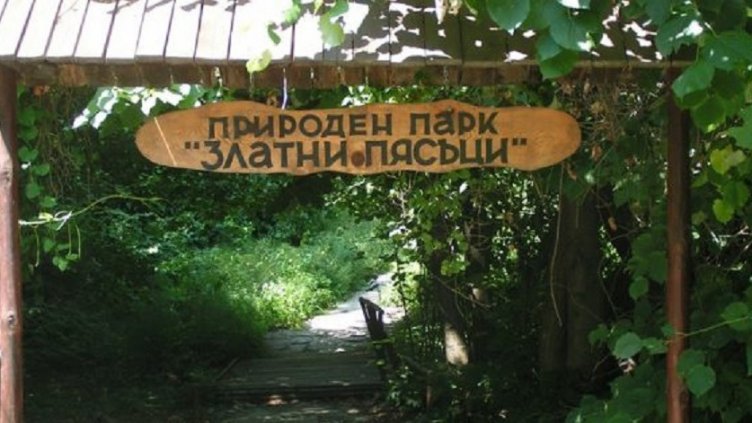 Доброволци ще чистят днес района на природен парк &ldquo;Златни пясъци&rdquo;