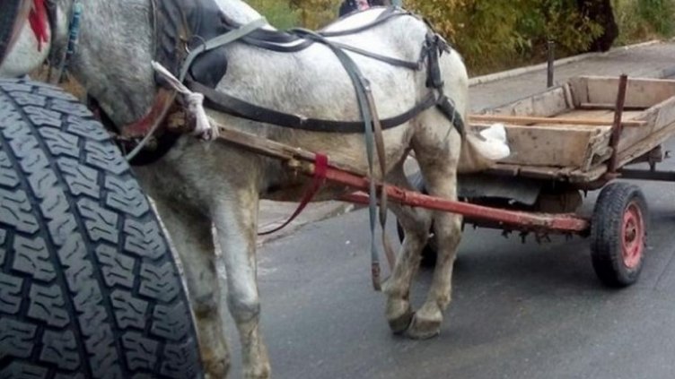 Задържаха трима с каруца, вътре намериха крадено от частен имот