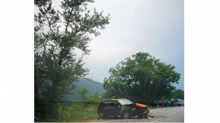 снимка Кирил Стоянов