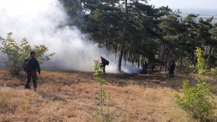 Близо 5000 дка. гори са изгорели през 2024 г. на територията на СИДП