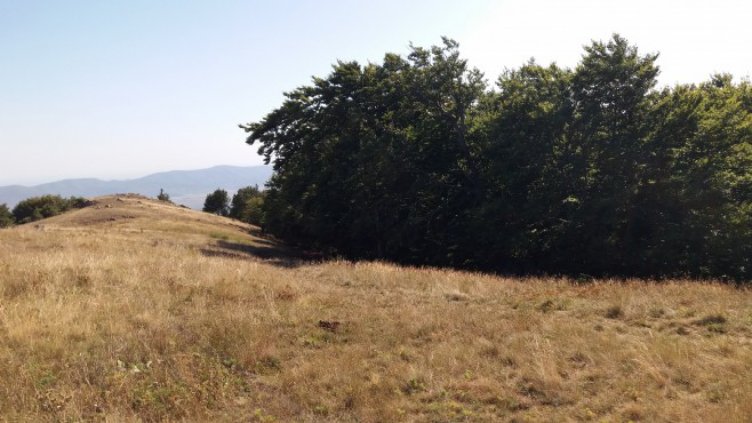 Във Варна валежите са само 55% от средните за последните 10 години