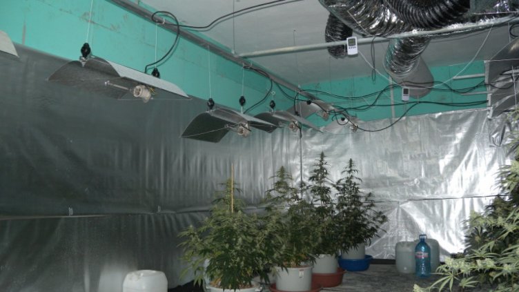 Снимка: МВР