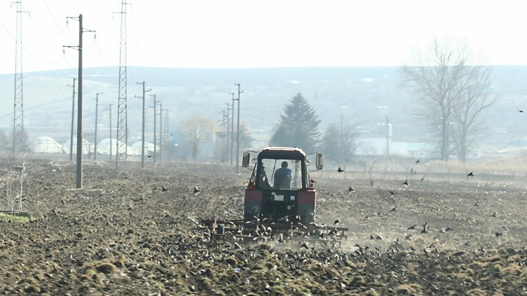 40% от работещите в земеделието в България са жени