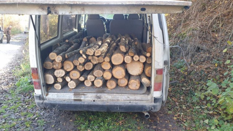 Бракониер заля горски с бензин