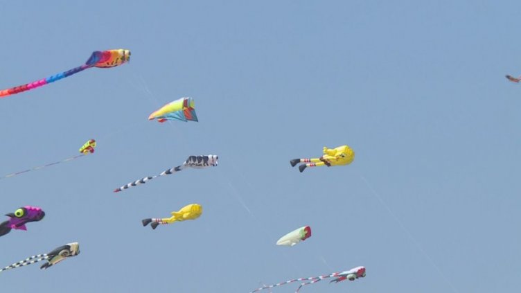 Варна е столицата на хвърчилата (СНИМКИ)