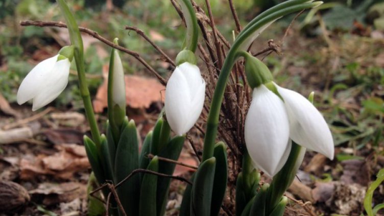 През уикенда слънцето пак се връща