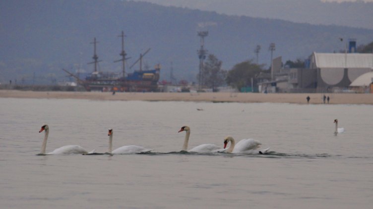 Април идва с дъжд и хладно време