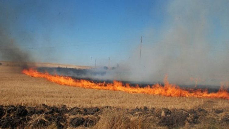 Снимката е илюстративна. 