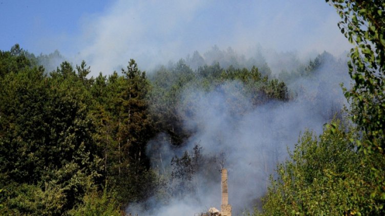 Горски пожар бушува край Белица