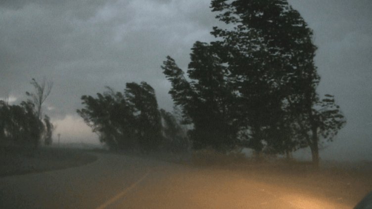 Съвети при силен вятър: Изключете тока и газта, затворете прозорците, укрепете саксиите