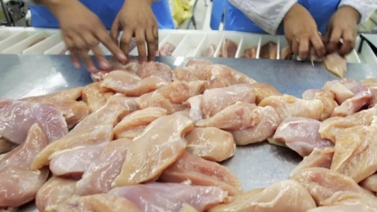 Птицевъди пред фалити, протестират. Прелюдия към нова скъпотия ли е?