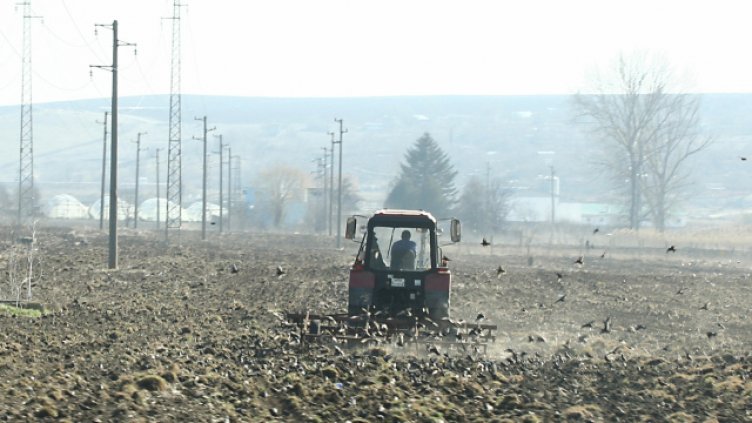 Биоземеделието ще има свой заместник-министър