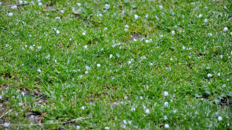 Градушка падна във Варна