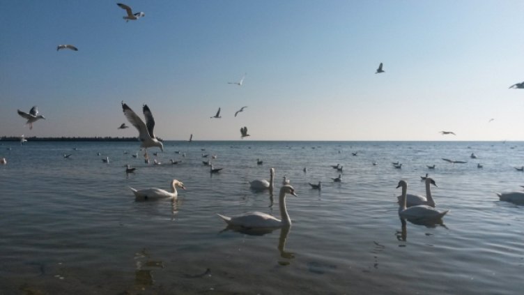 Очаква ни слънчева сряда