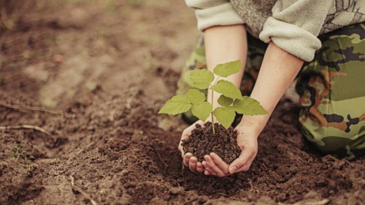 Ученици ще засадят дръвчета в Парк-музей „Владислав Варненчик“