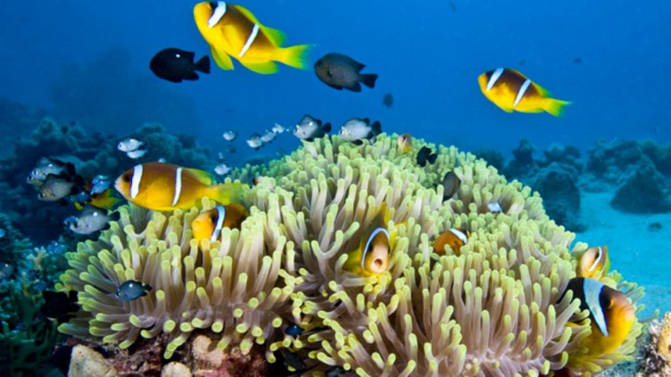 Снимка: Thinkstock