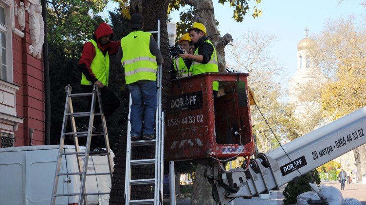 Снимка Пламен Гутинов