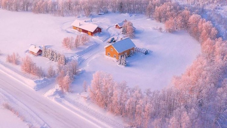 Студ скова Северна Европа
