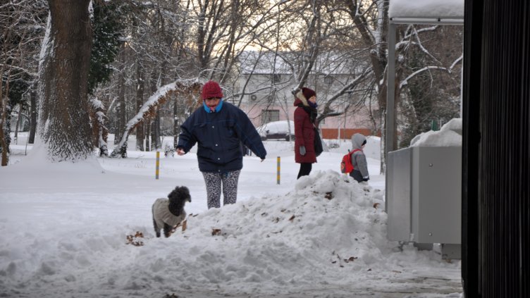 Снимка Ели Маринова.