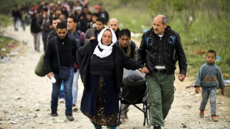 Десет нелегални мигранти заловени в Монтанско