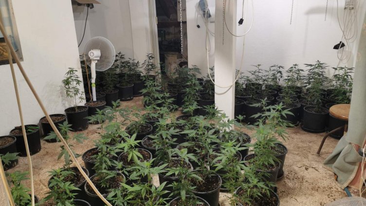 За 3 дни варненската полиция разкри трета наркооранжерия (Снимки)