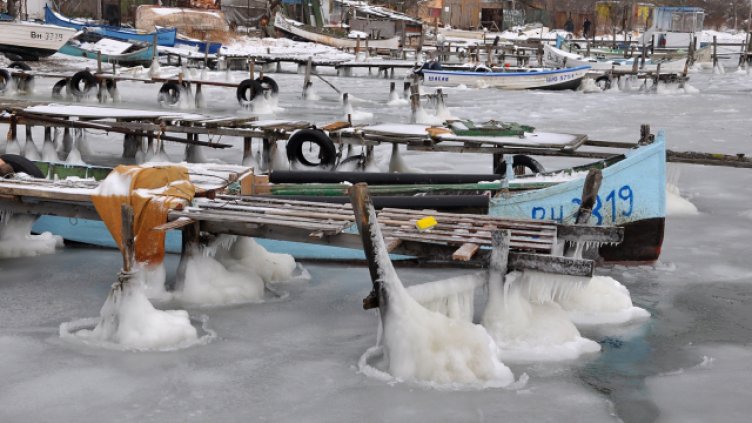 Снимка Пламен Гутинов