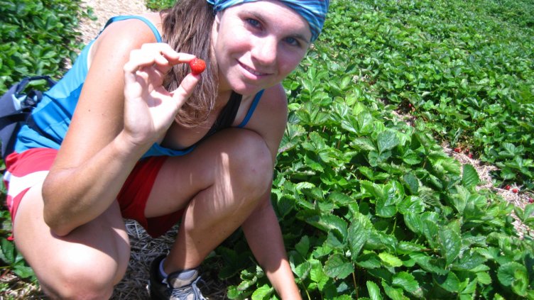 Търсят берачки на ягоди за Испания