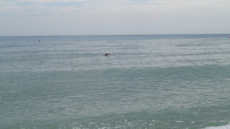 РЗИ-Добрич: Водата на плажовете от от Дуранкулак до Кранево е чиста
