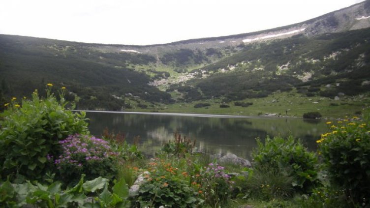 ВАС отмени промените в плана за управление на Национален парк "Пирин"