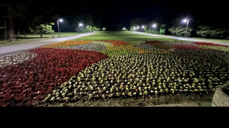 Изцяло ново осветление в историческата част на Морската градина