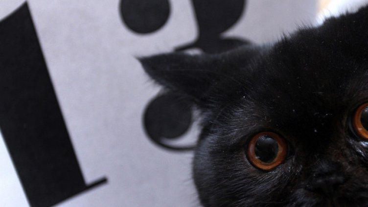 „Фаталният“ пeтък 13-и 