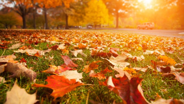 Слънчево, но на места ще има мъгла