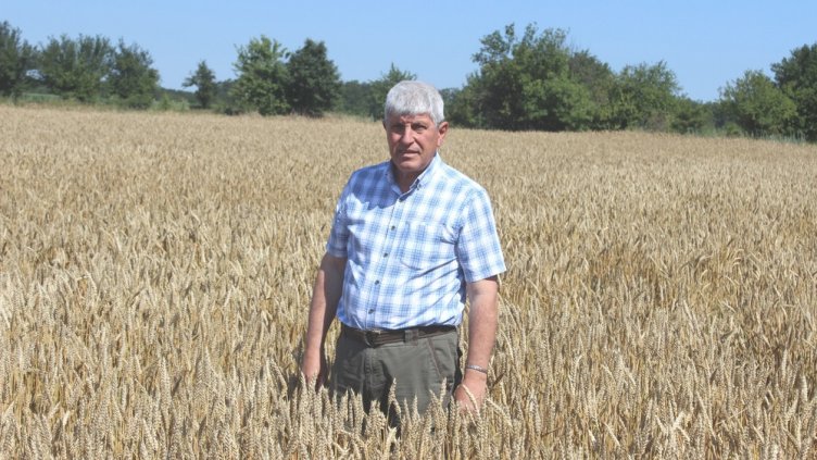 Създателят на български сортове пшеница: На път сме да се превърне в пущинак