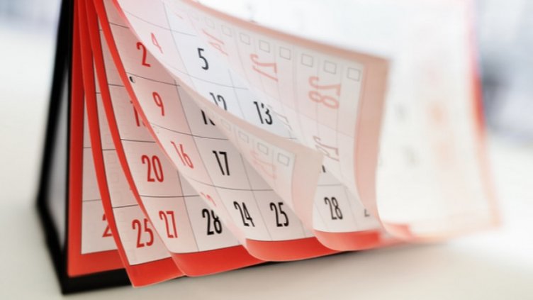 Светът отбелязва Деня на ненасилието и Деня на селскостопанските животни