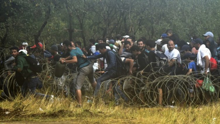 Кой е канил мигрантите тук, те са нарушители!