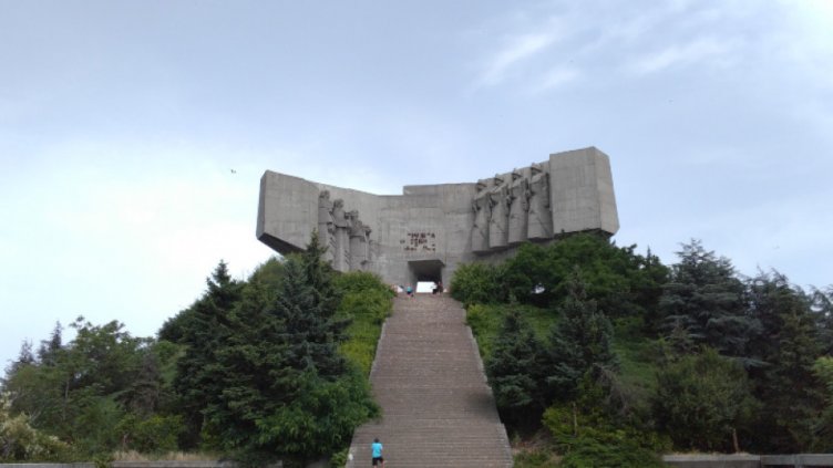 Варненци протестират заради сеч на дървета