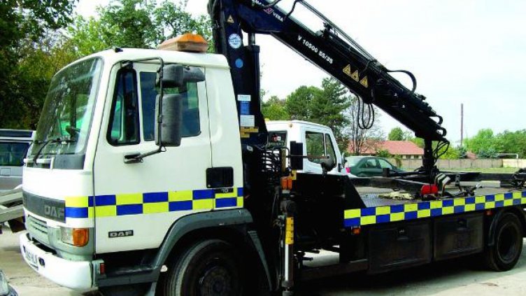 Нощен паяк тръгва на лов за коли