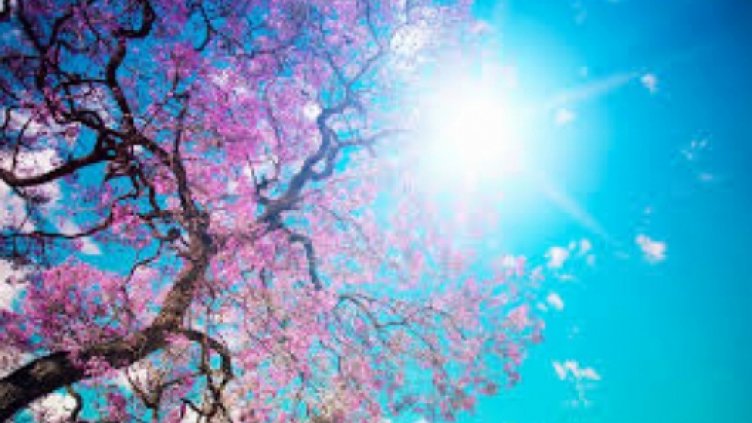 Изпращаме седмицата със слънчево време